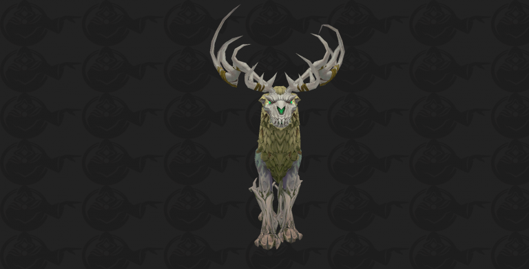 front_w.png